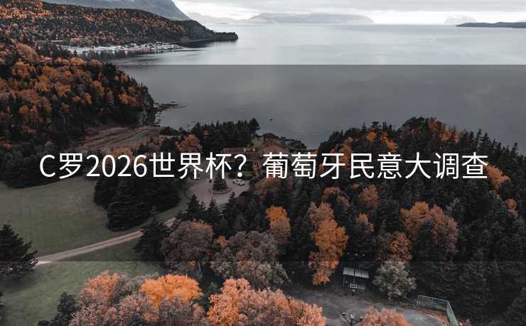 C罗2026世界杯?葡萄牙民意大调查 C罗2026世界杯?葡萄牙民意大调查